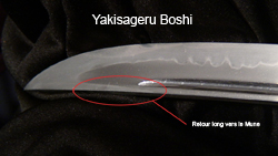 yakisageru boshi